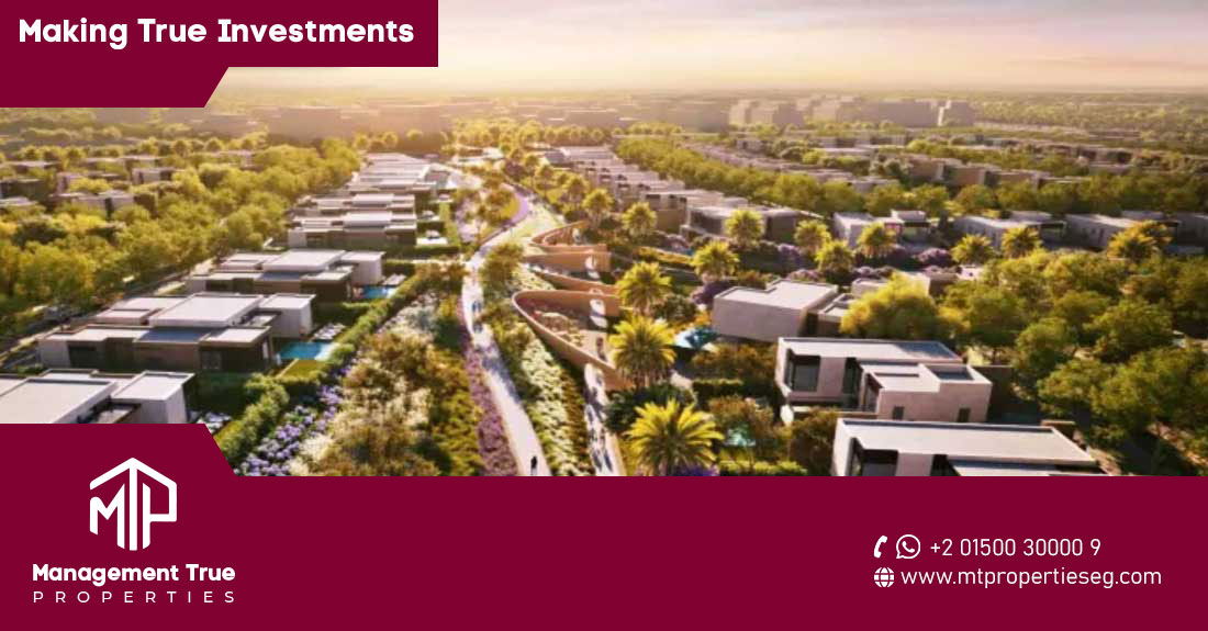 Solana Compound New Zayed