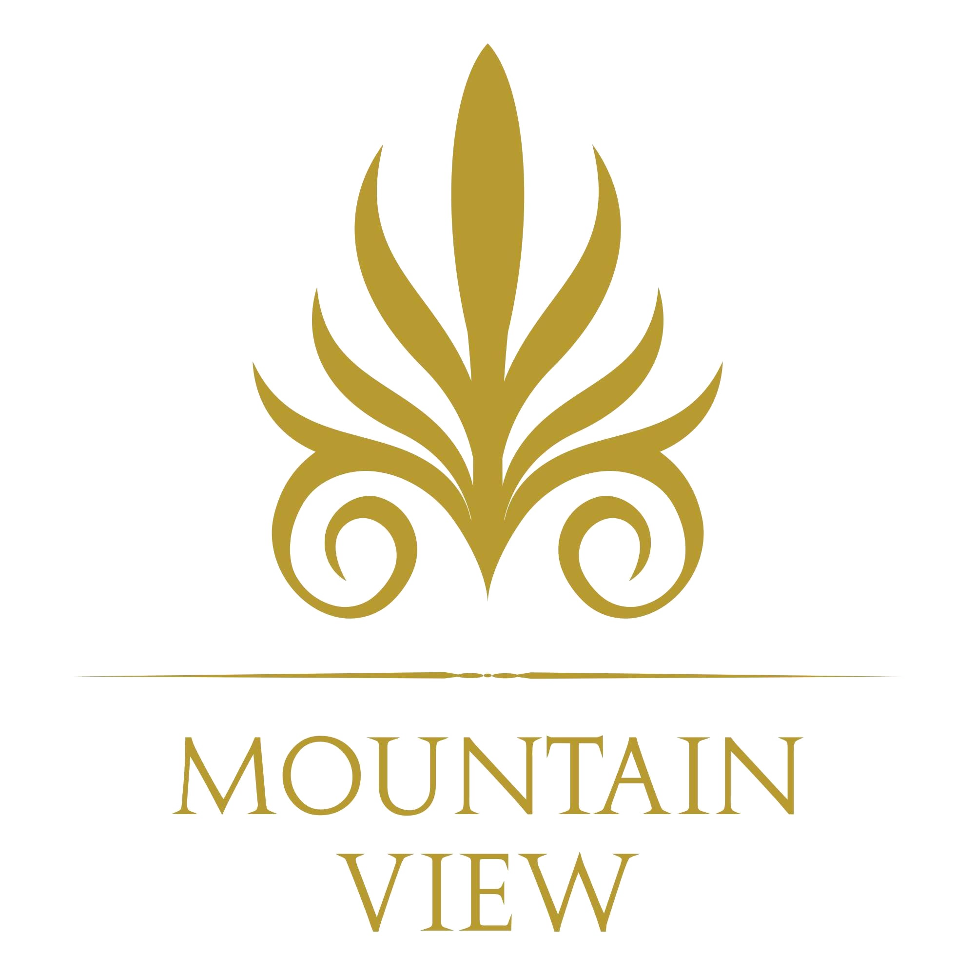 Mountain View Developments