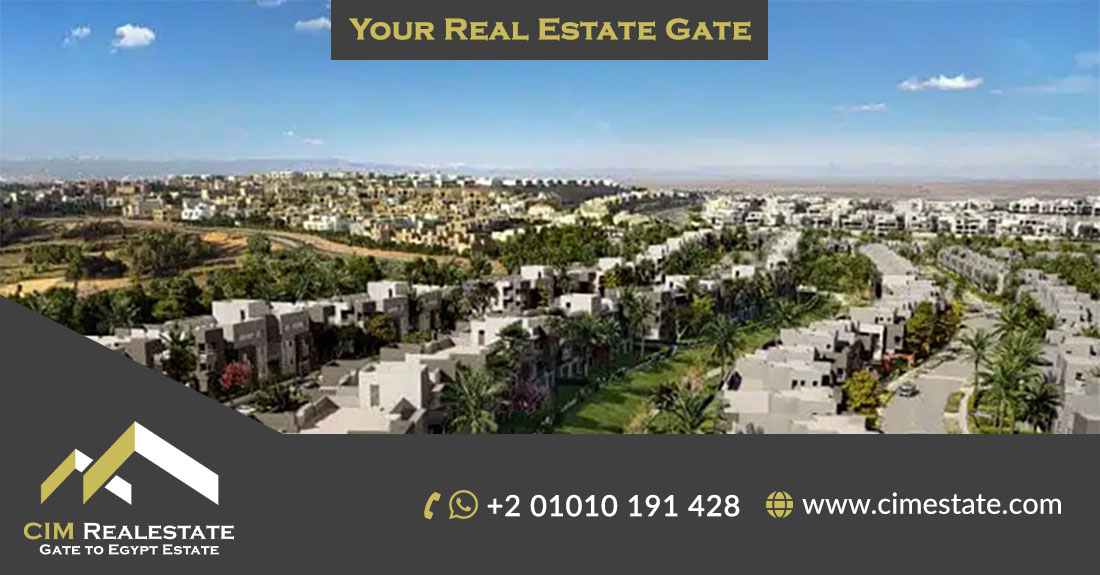 زايد الجديدة